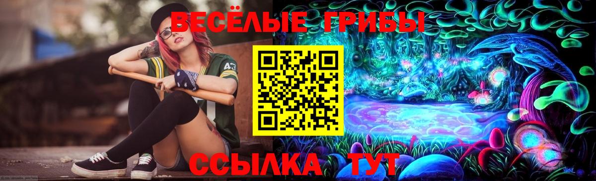 Псилоцибиновые грибы Cubensis  Вход с VPN  Псилоцибиновые грибы ЛСД  Камышин 